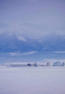 清新淡雅雪景图片手机壁纸