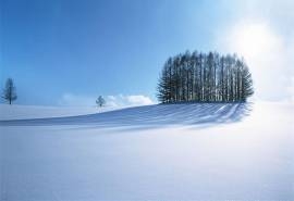 唯美雪景风光图片桌面壁纸