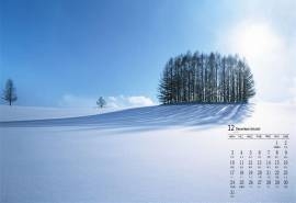 2018年12月唯美雪景图片日历壁纸