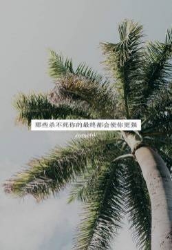 蓝色海边风景文字手机壁纸