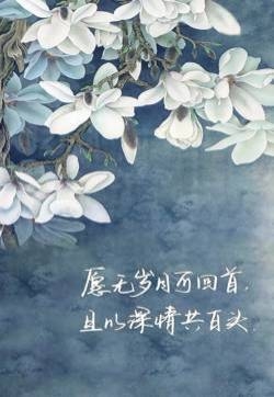 清新文字控文艺风手机壁纸