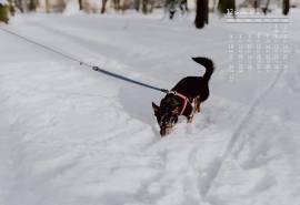 2018年12月清新唯美雪景日历壁纸