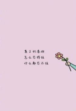 清新文字控文艺风手机壁纸
