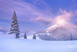 冬日唯美雪景图片电脑壁纸