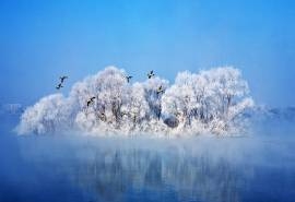 唯美雪景高清图片桌面壁纸
