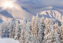 大自然唯美雪景高清桌面壁纸