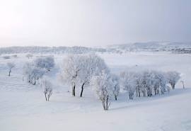 清新唯美雪景图片桌面壁纸