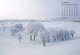 2019年1月清新雪景图片日历壁纸