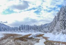 寒冷冬日雪景唯美高清桌面壁纸