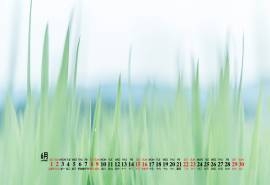 2019年6月小清新绿色桌面日历壁纸