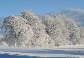 唯美冬日雪景图片桌面壁纸