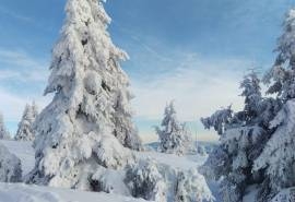唯美冬日雪景图片高清壁纸