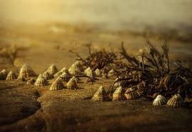 优美迷人的海滩风景桌面壁纸