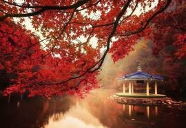唯美意境秋季风景桌面壁纸