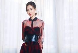 王丽坤优雅迷人写真桌面壁纸