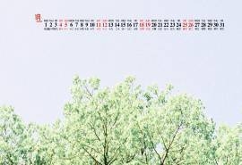 2020年1月小清新护眼绿色桌面日历壁纸