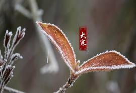 二十四节气大寒唯美图片电脑壁纸