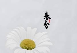 春分图片素材高清电脑桌面壁纸