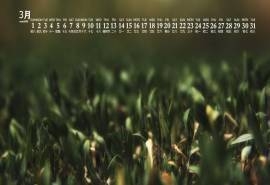 2020年3月高清护眼绿色植物日历壁纸