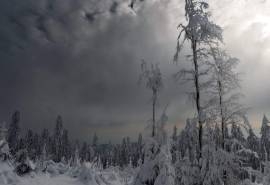 超美冬季雪景图片电脑壁纸