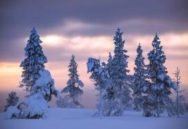 冬季唯美雪景高清电脑壁纸