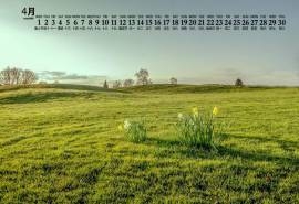 2020年4月绿色草原风光图片日历壁纸