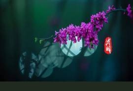 清明节唯美图文高清桌面壁纸
