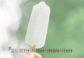 2020年4月简约小清新桌面日历壁纸图片