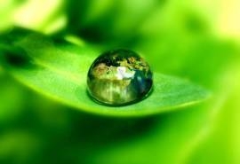 棕榈树草坪海边风景图片桌面壁纸