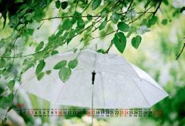 2020年5月绿色小清新桌面日历壁纸