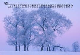 2020年6月雾凇岛雪景日历壁纸