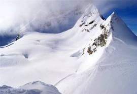 纯白雪景唯美高清桌面壁纸