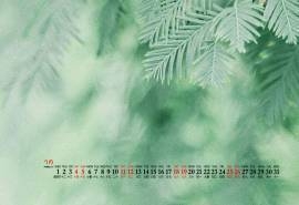 2020年7月简约自然绿色桌面日历壁纸