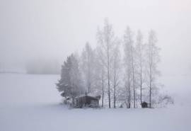 唯美冬日雪景图片电脑壁纸
