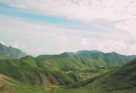 绿色护眼山丘风景高清桌面壁纸