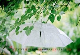 2020年8月绿色枝叶护眼日历壁纸
