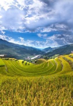 唯美护眼田园风景手机壁纸