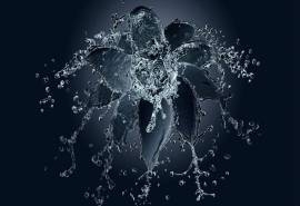 清新水滴设计创意桌面壁纸