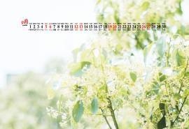 2020年9月绿叶指示牌清新护眼桌面日历壁纸