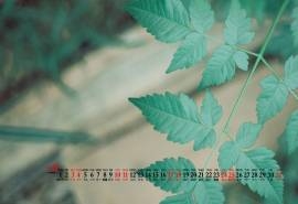 2020年10月翠绿色护眼电脑桌面日历壁纸