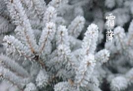 24节气绝美风景桌面壁纸