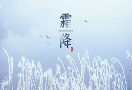 24节气霜降优美风景电脑壁纸