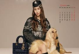 2020年11月angelababy萌宠大片高清日历壁纸