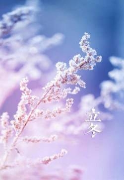 二十四节气立冬手机壁纸