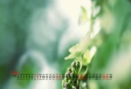 2020年11月绿色护眼草坪风景桌面日历壁纸