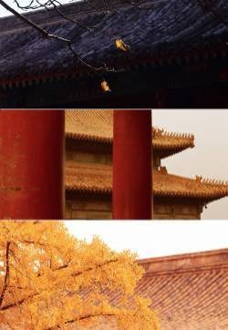 故宫的秋色唯美风景手机壁纸