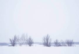 日本冬日唯美雪景图片桌面壁纸