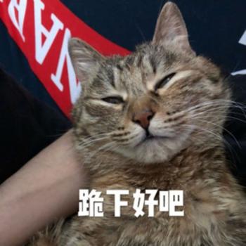 表情包图片 _ 第(4)张
