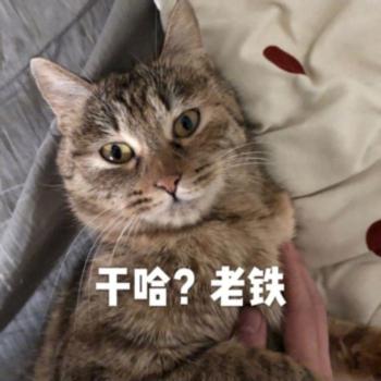 表情包图片 _ 第(5)张