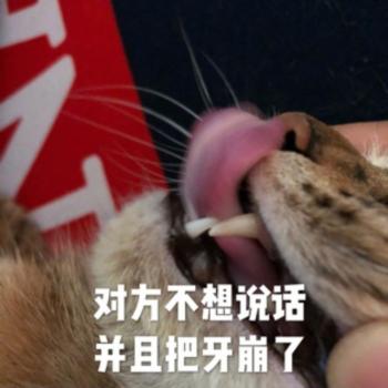 表情包图片 _ 第(7)张
